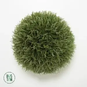 כדור דשא 26 ס"מ