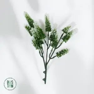 לבנדר לבן 35 ס"מ