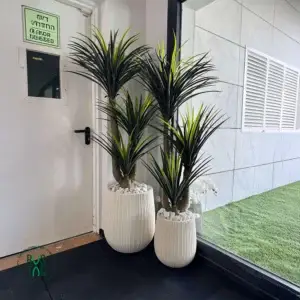 סט זוגי עצי יוקה מלאכותיים כולל כד 1.4 מטר