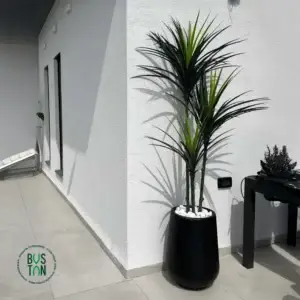 עץ יוקה מלאכותי בגובה 1.6 מטר עם כד פיראוס