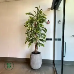 עץ ערבה מלאכותי בגובה 1.8 מטר בכד סנטרואיני מחורץ