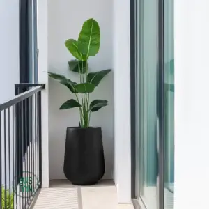 צמח ציפור גן עדן מלאכותי בגובה 1.6 מטר בכד פיראוס