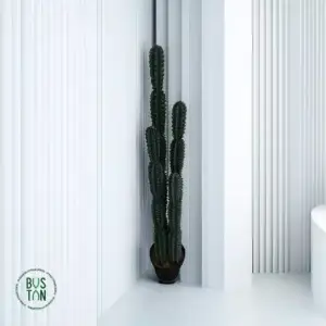 קקטוס 1.2 מטר