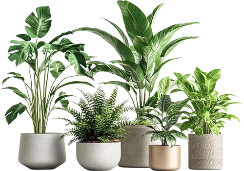 עציצים ואדניות מצמחייה מלאכותית באתר בוסתן צמחייה מלאכותית