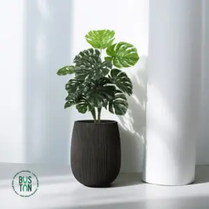 מונסטרה מלאכותית בגובה 1 מטר בכד סנטוריני