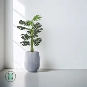 מונסטרה מלאכותית בגובה 1.65 מטר בכד סנטוריני