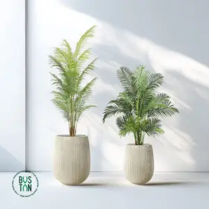 סט זוגי של עציצי דקל הוואי מלאכותיים בגבהים שונים עם כדים סנטוריניים