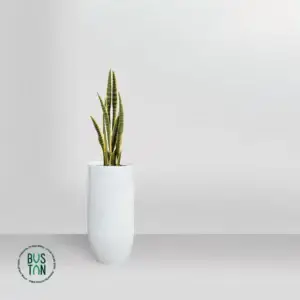 סניסיווריה מלאכותית בגובה 92 ס”מ בכד אתונה