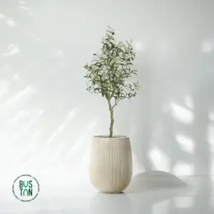 עץ זית מלאכותי בגובה 1.2 מטר בכד סנטוריני