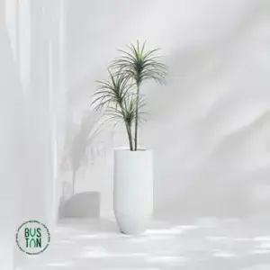 עץ יוקה מפוצל מלאכותי בגובה 1.6 מטר בכד אתונה