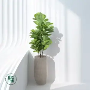 פיקוס כינורי מלאכותי בגובה 1.5 מטר בכד אתונה