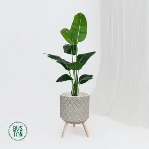 ציפור גן עדן מלאכותית בגובה 1.6 מטר בכד פיבר עם רגלי עץ